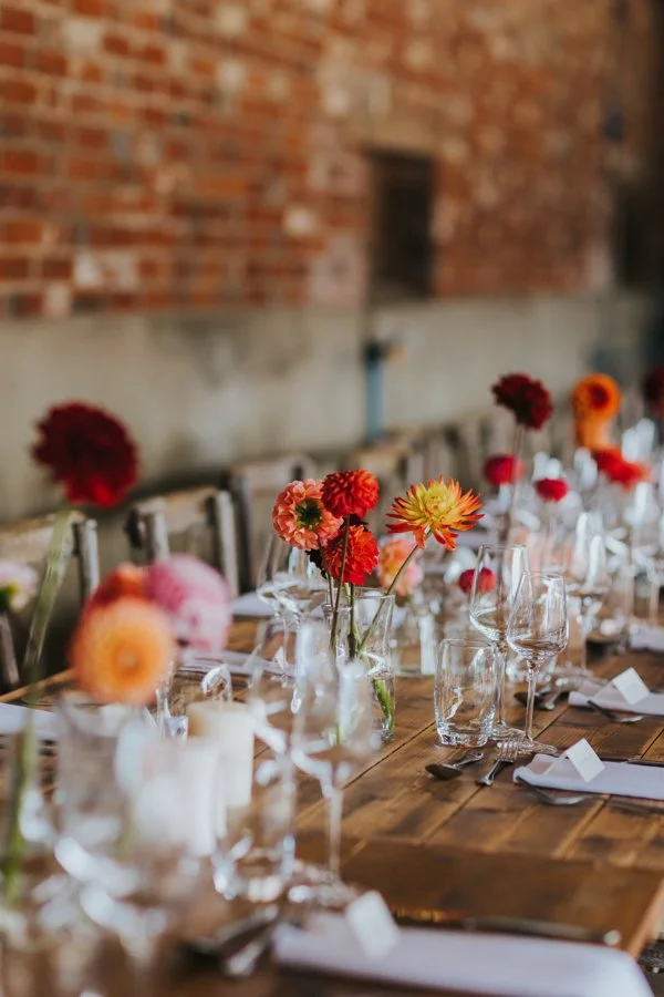 Lisa Webb Photography