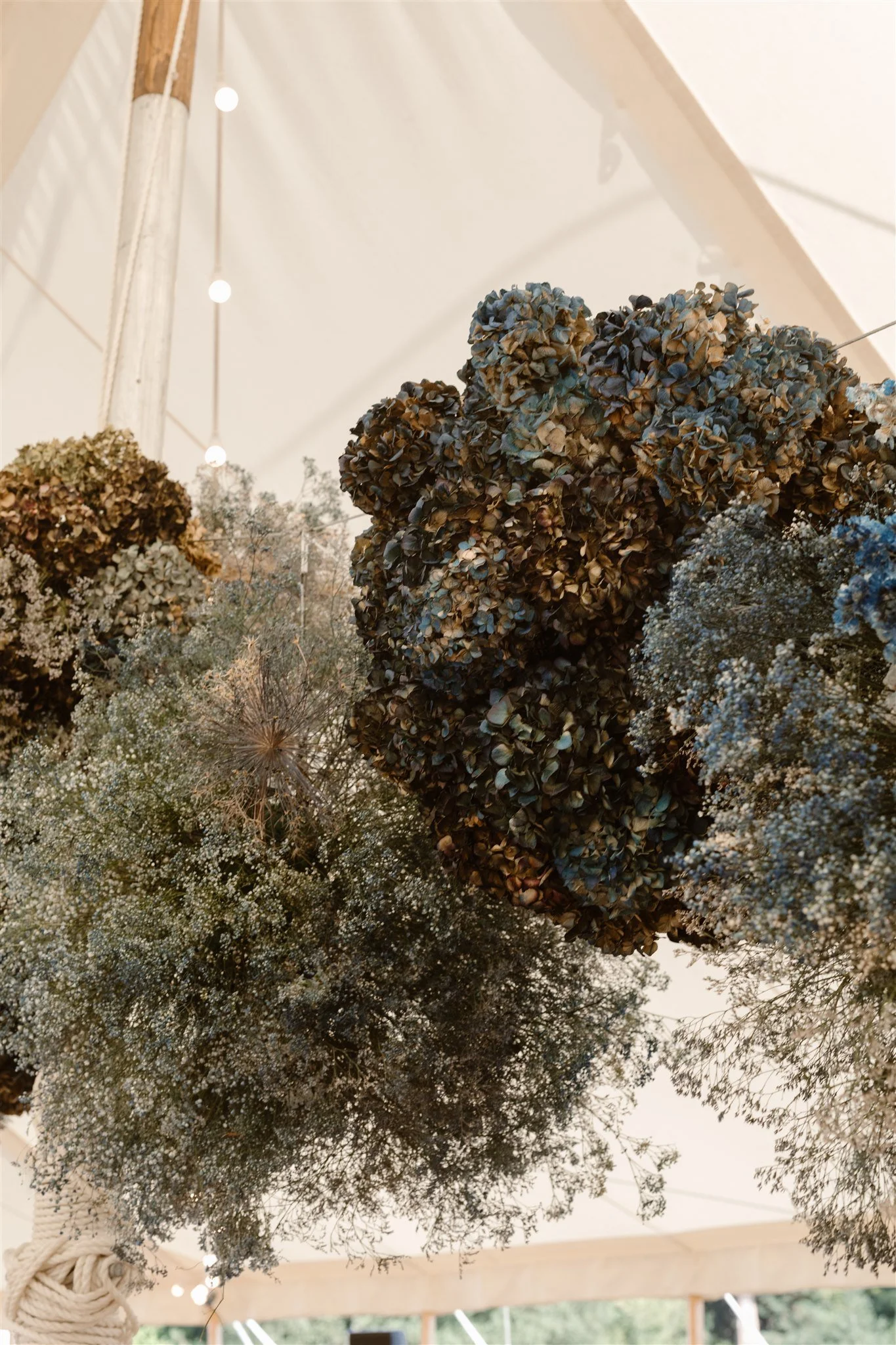 Agnes Black Photography