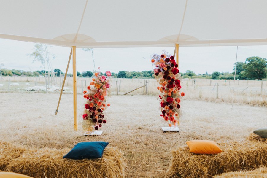 Lisa Webb Photography