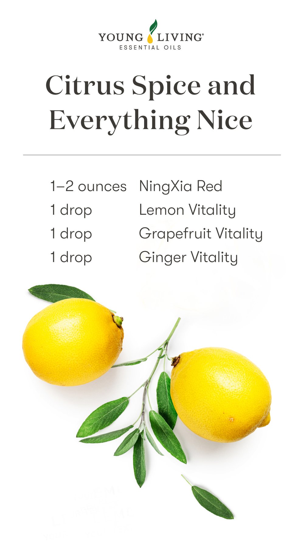 US-Blog_Ningxia-Red-Shots_Citrus-Spice_US.jpg