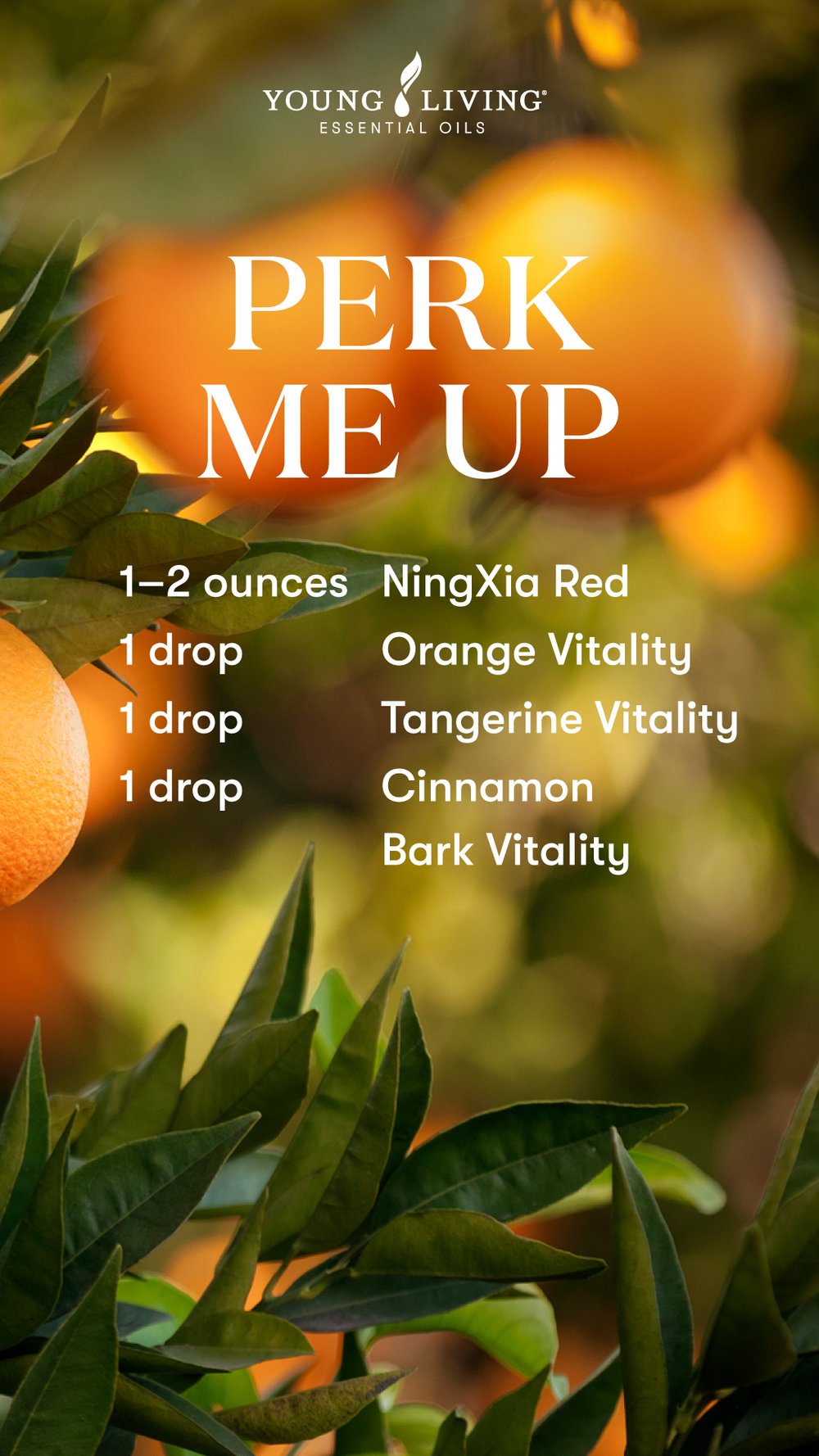 US-Blog_Ningxia-Red-Shots_Perk-Me-Up_US.jpg