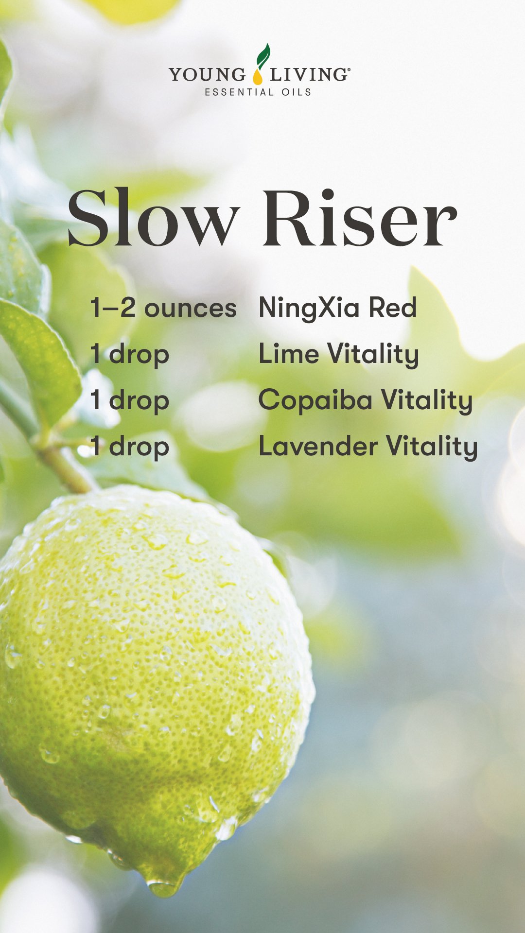 US-Blog_Ningxia-Red-Shots_Slow-Riser_US.jpg