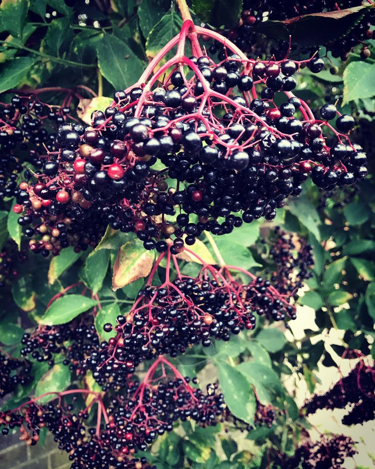 In September