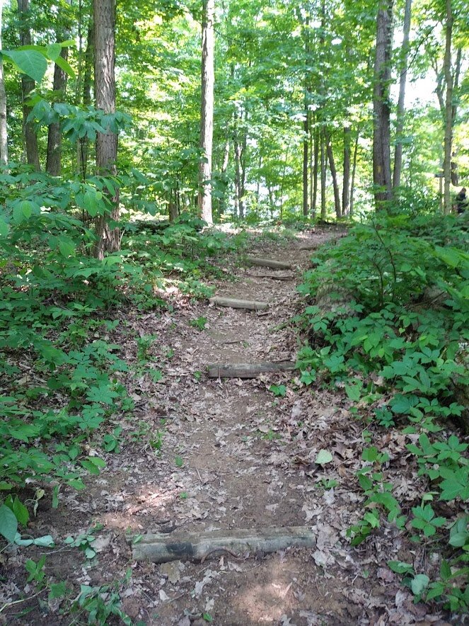 Hiking at camp