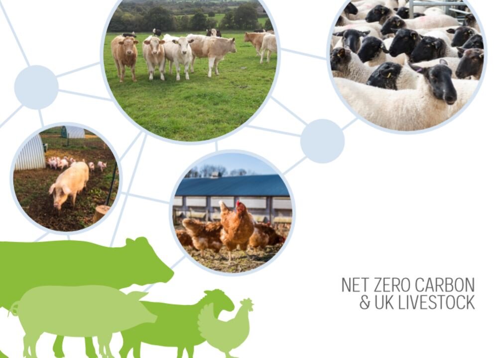 Science report highlights challenge in meeting UK net zero carbon goals for  livestock — UK Agri-Tech Centres