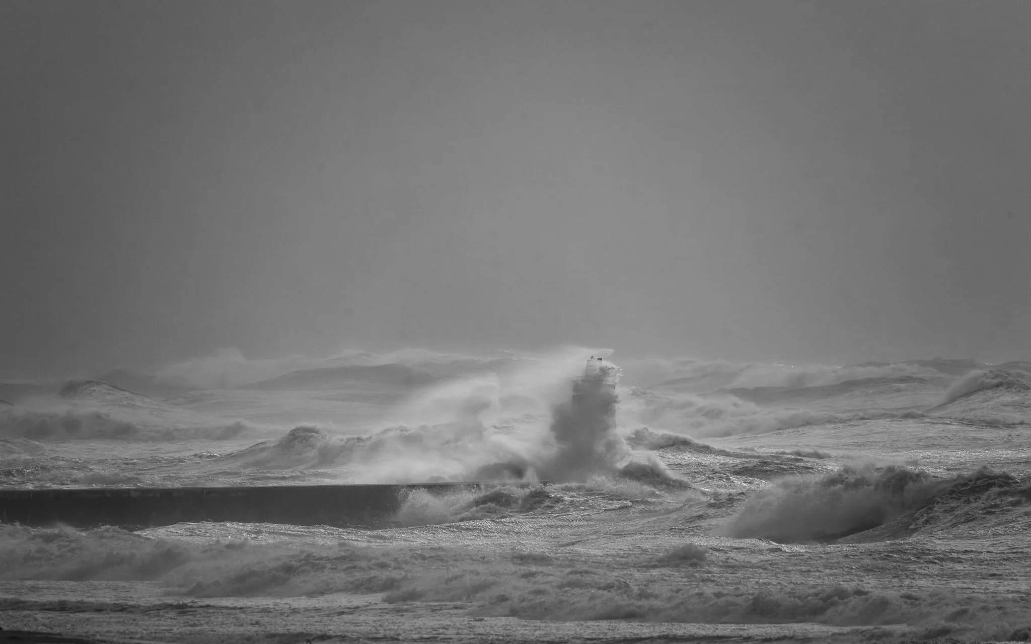 LM 2026 01 31 N&B 1.