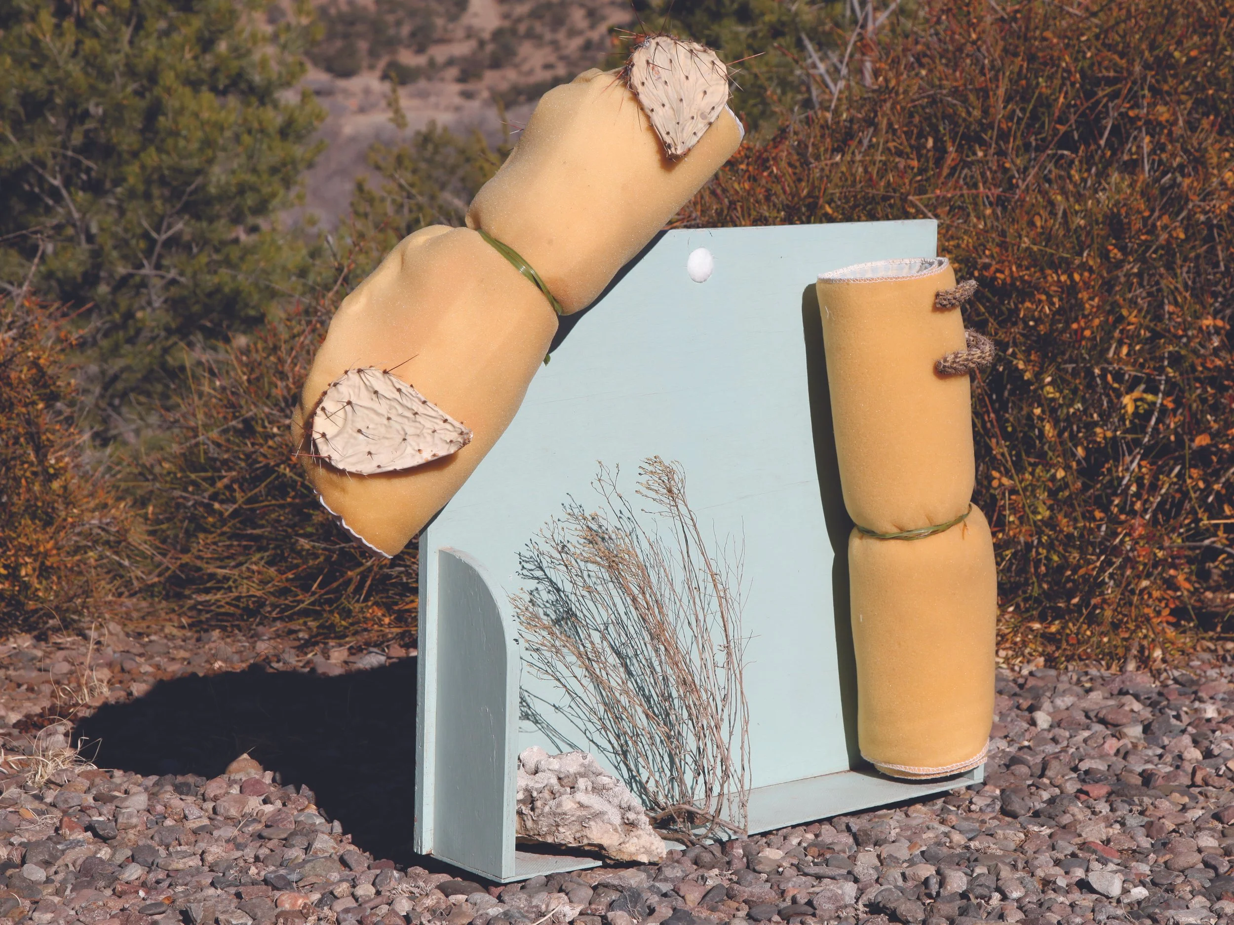 Cactus Pillows