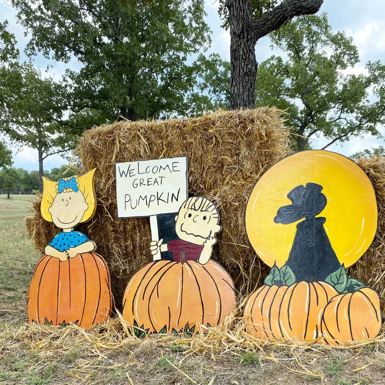Jacksboro Pumpkin Patch FAQs Everything You Need to Know for Fall