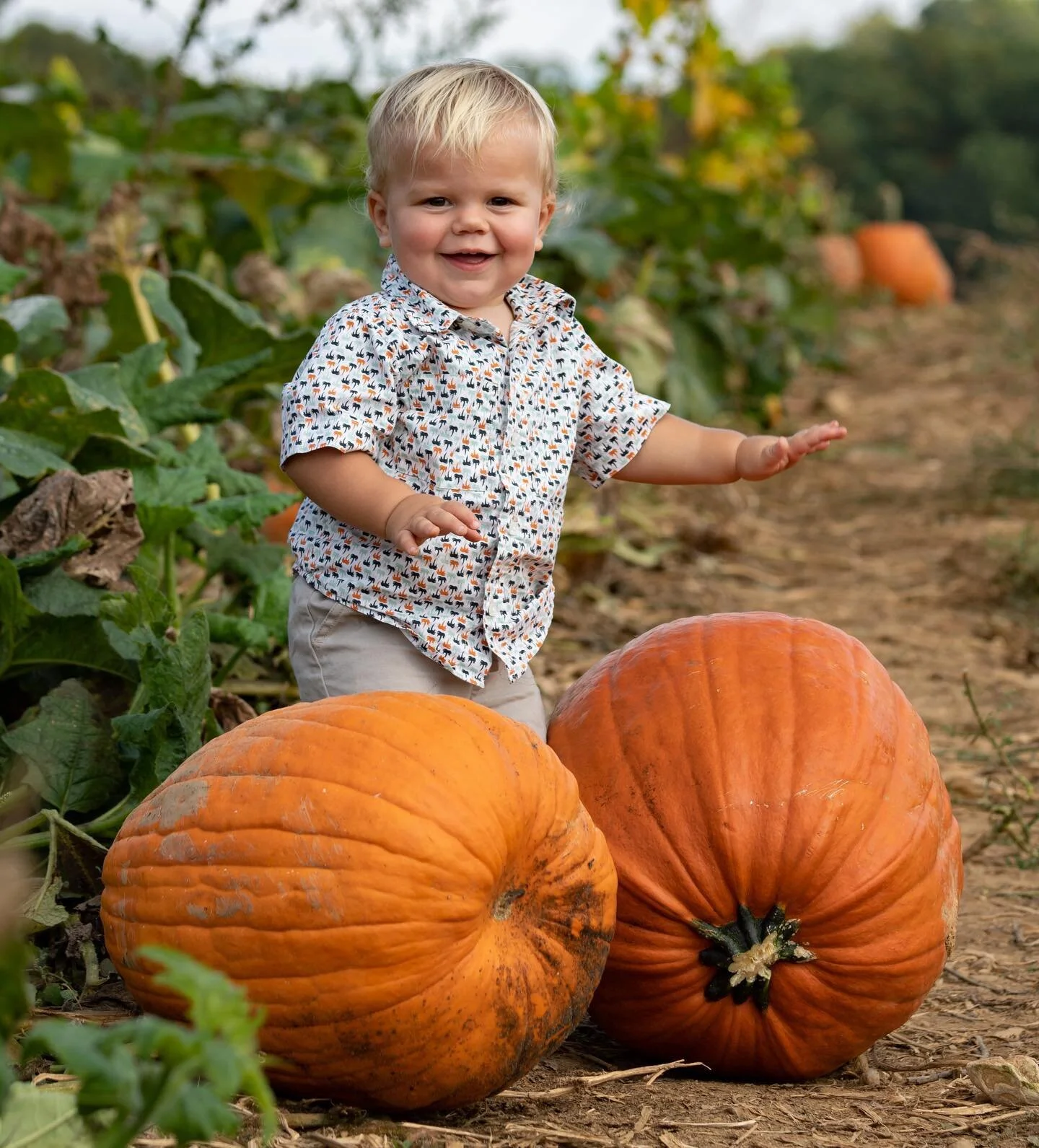 3 MORE DAYS until we open! We can't wait to see y'all this weekend at the farm!
&bull;
&bull;
#pumpkinpatch #pumpkinharvest #seasonalfarming #pumpkineverything #ilovefall #falldecor #PumpkinPicking #pumpkinseason #countryfarms #perfectpumpkin #FarmLi