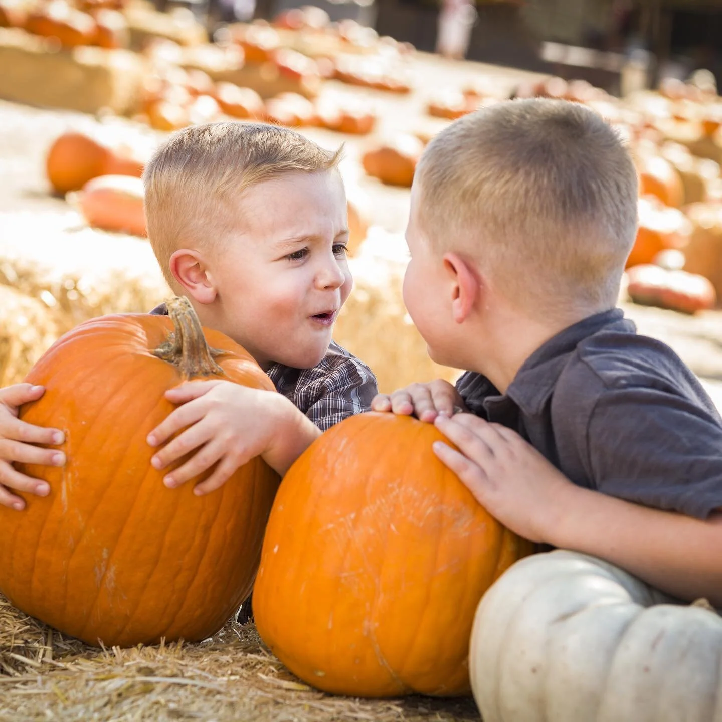 ❗1 MORE DAY❗ We are so excited to open tomorrow and share our farm with y'all. Get ready for 🍂 fall family fun! Buy your tickets online and SAVE 👉🏻 Link in bio
&bull;
&bull;
#pumpkinpatch #pumpkinharvest #seasonalfarming #pumpkineverything #ilovef