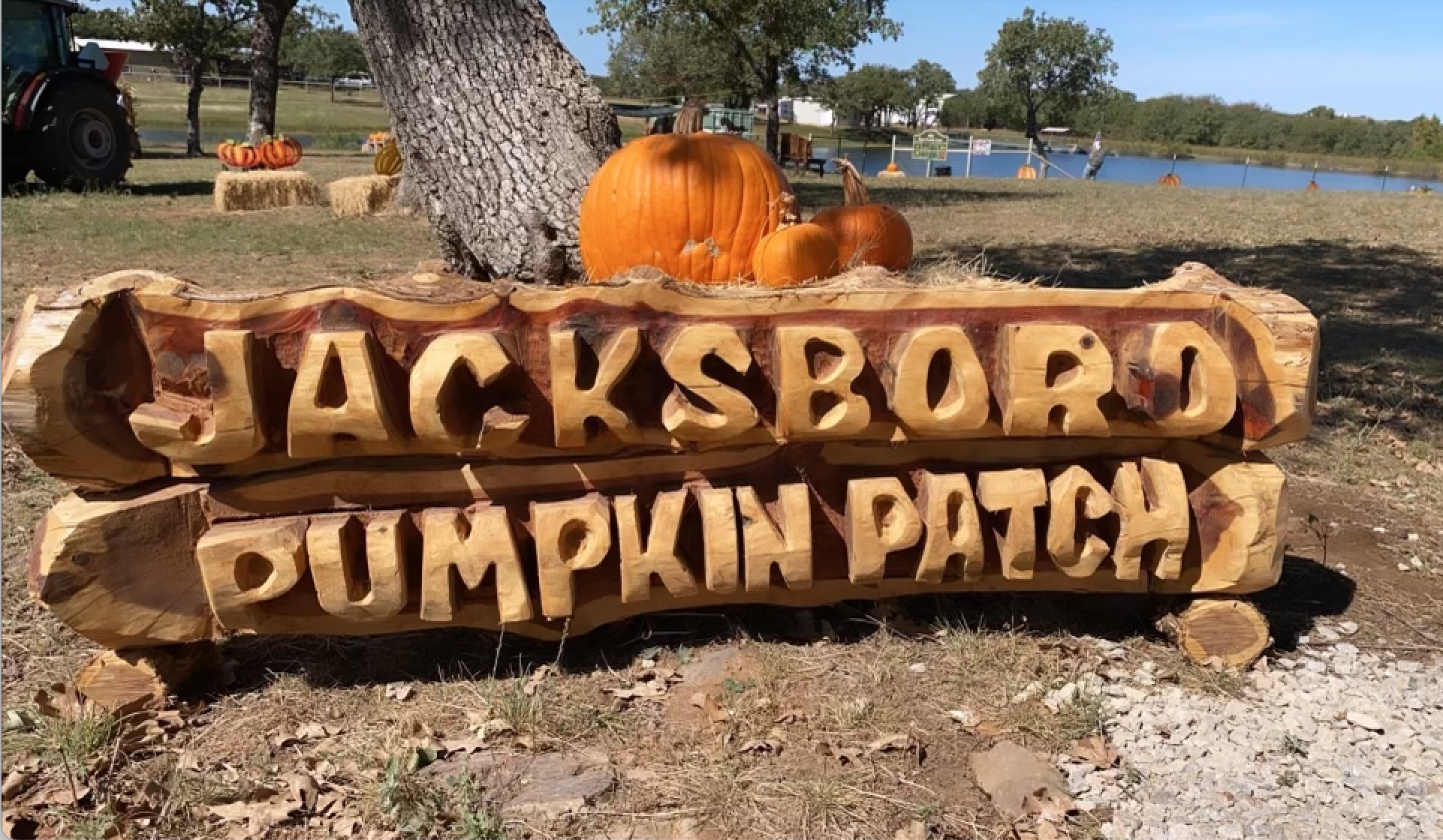 Captured Moments Explore the Jacksboro Pumpkin Patch Gallery