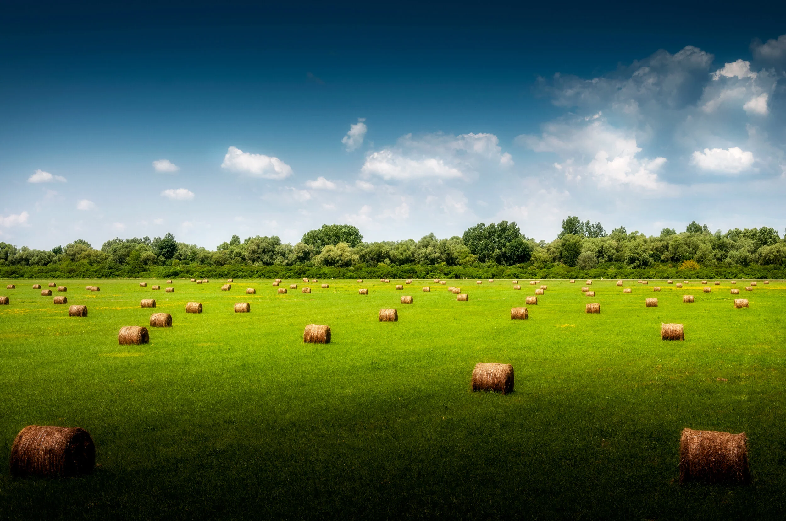 Haystakes