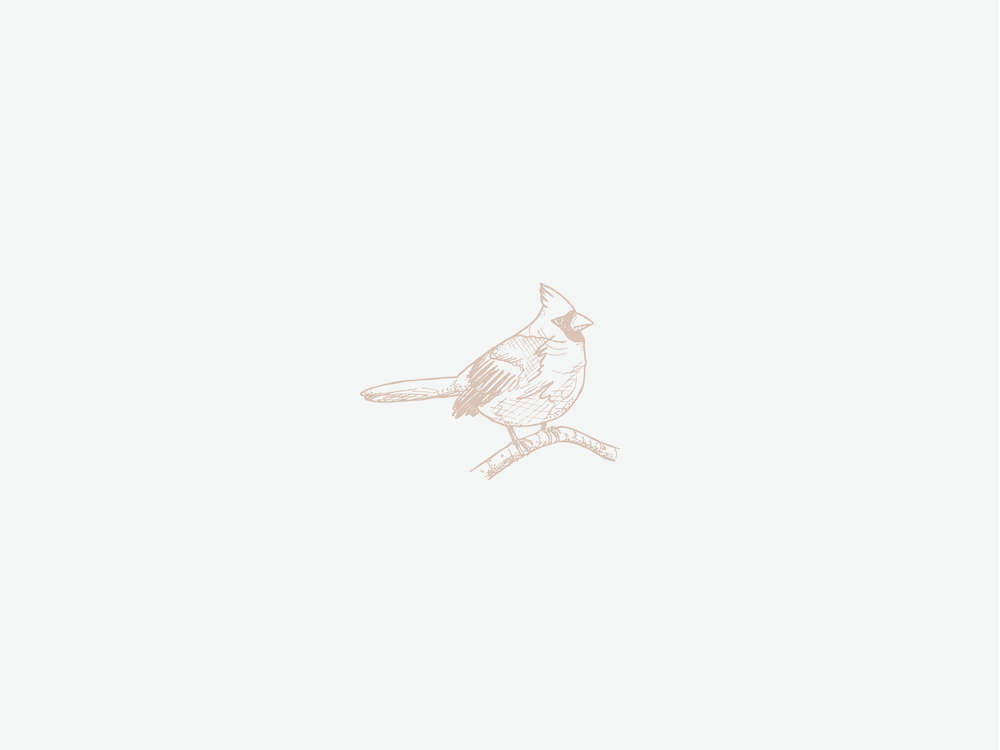 leslie-bird-photography-3.png
