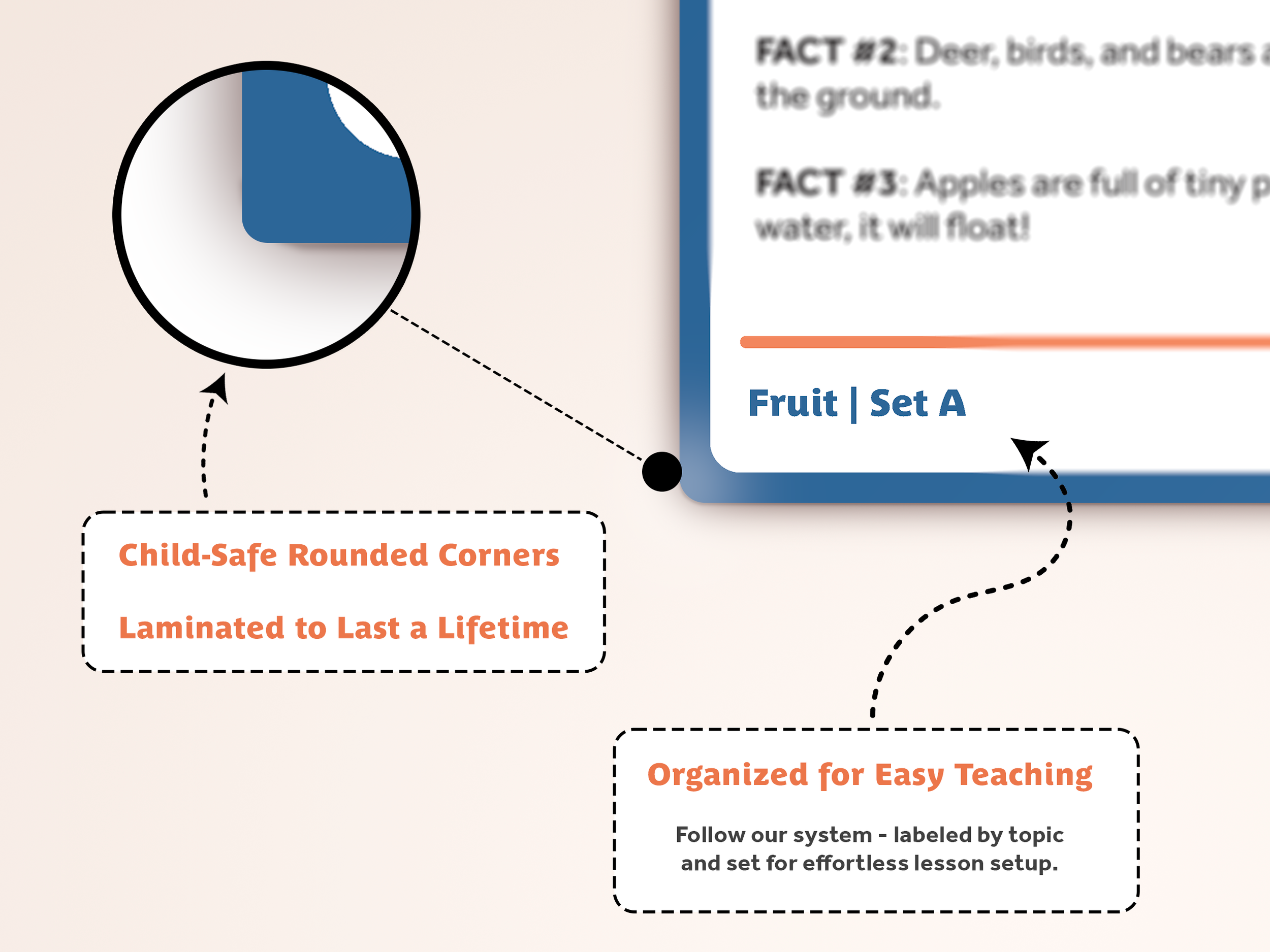 Fruit Product Image 4.png