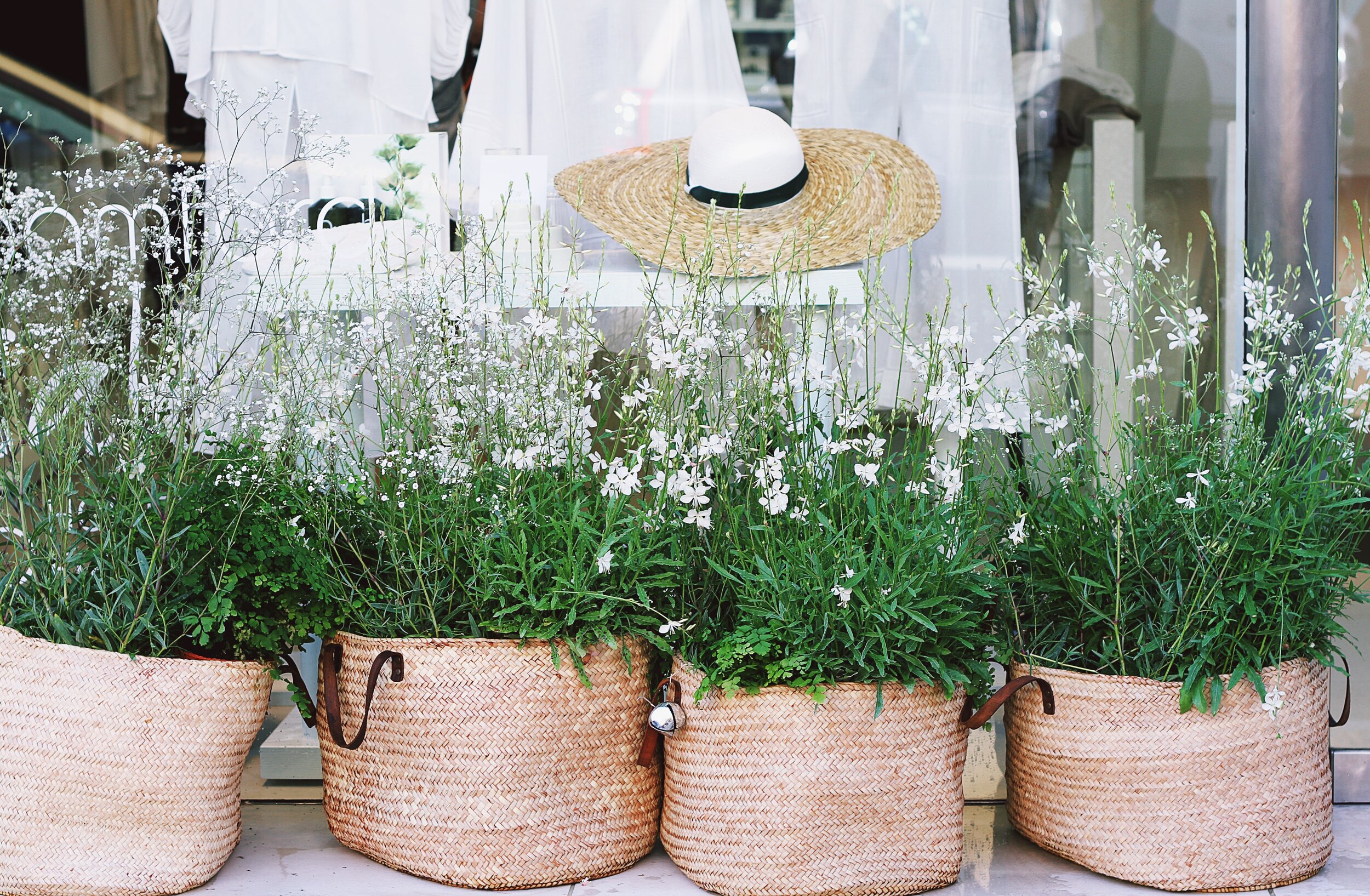 Season 1, Episode 28: Springtime Favorites with Chelle and MacKenzie