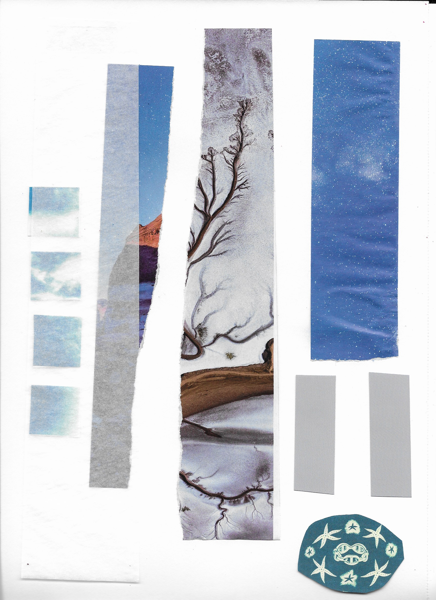winter collage.png