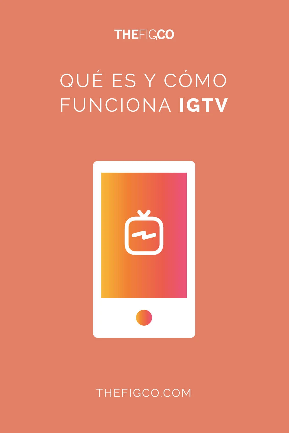 Imagen de pin para artículo de IGTV