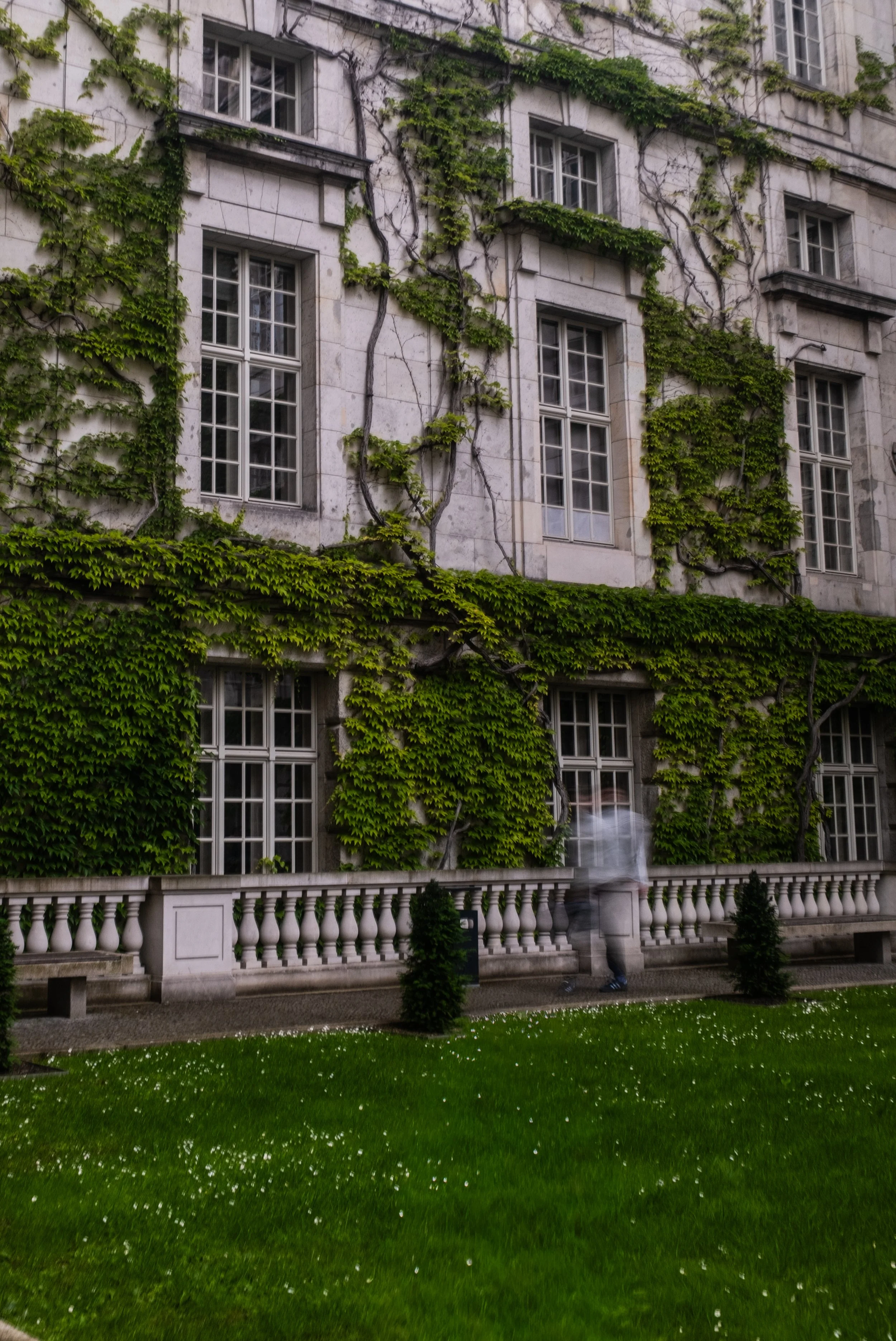 DSCF2980.JPG