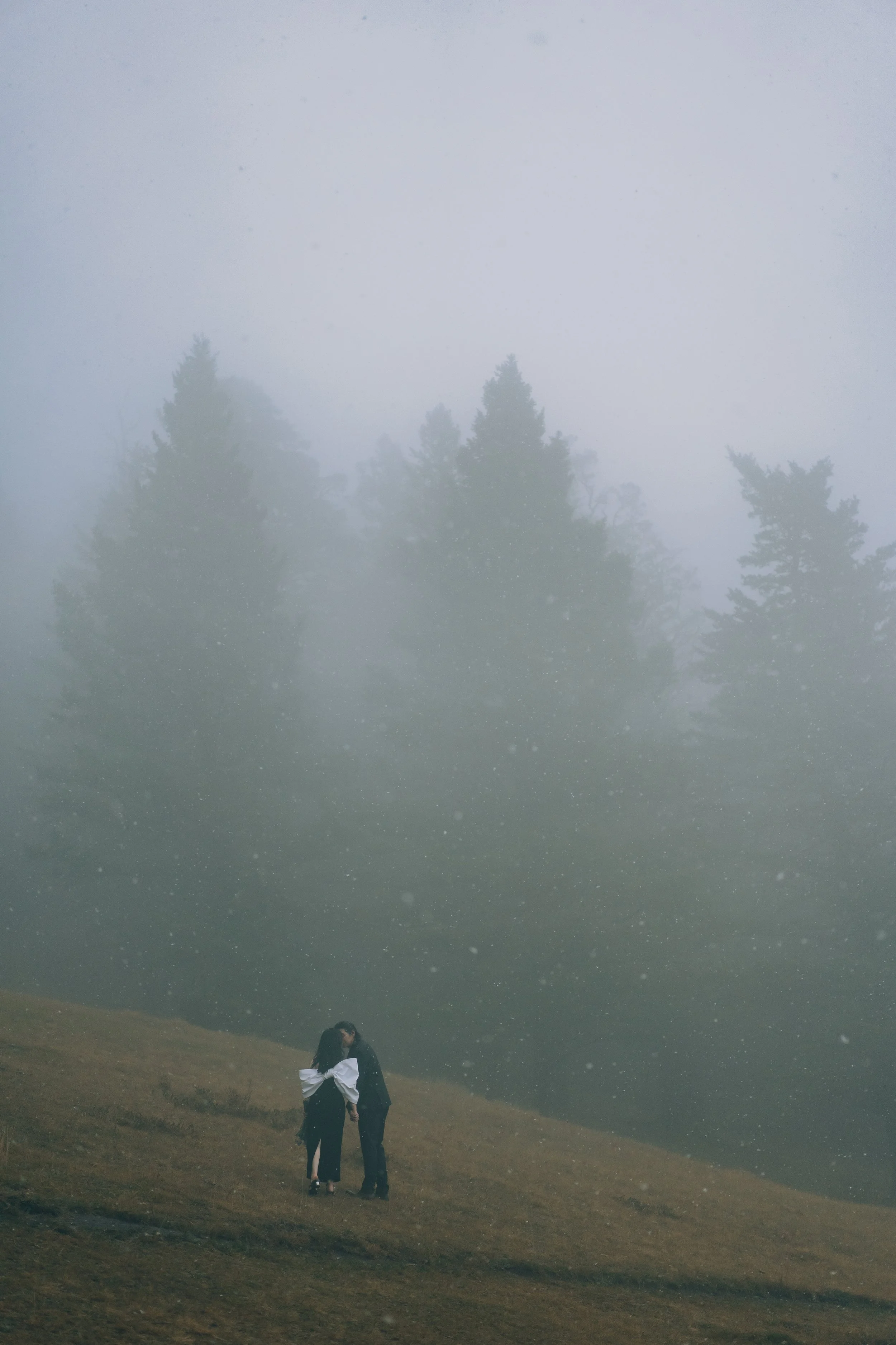 Two people standing close together on a foggy hillside, surrounded by tall trees in the background.