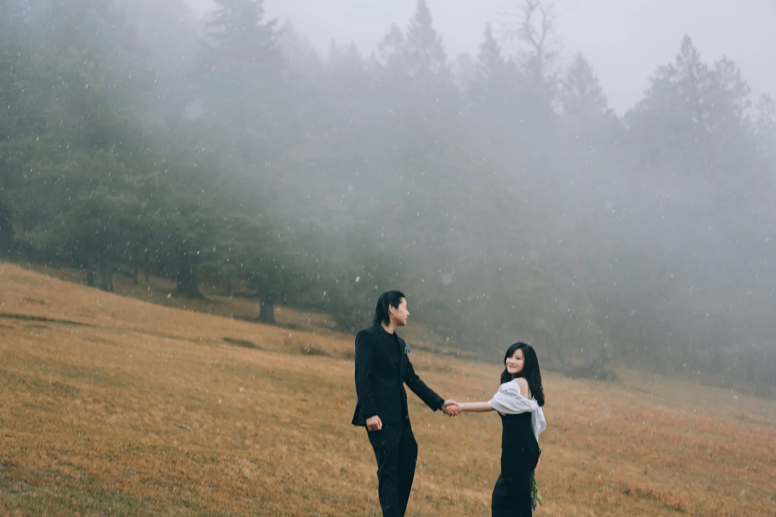 A man and a woman holding hands and looking at each other in a grassy field with trees and light rain or mist in the background.