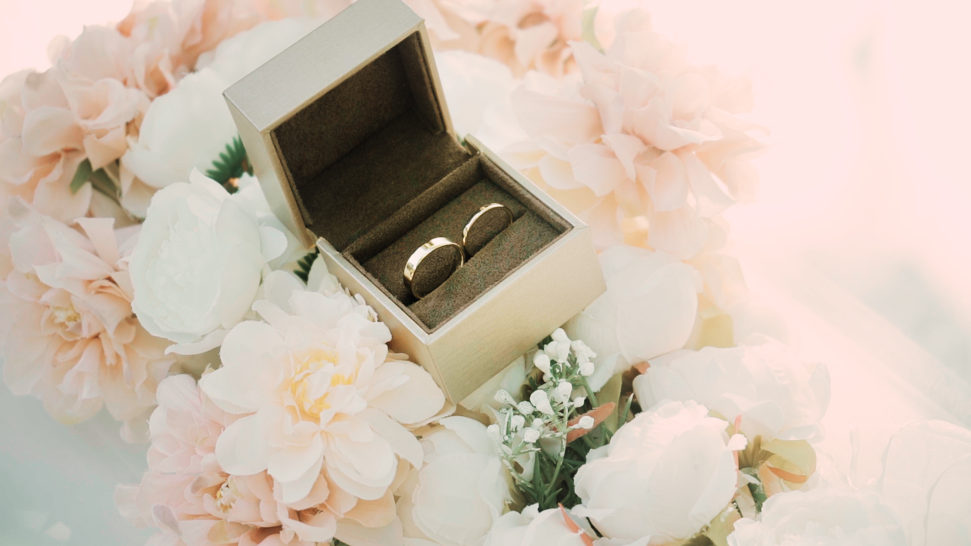 boni thing_1.11.2.png