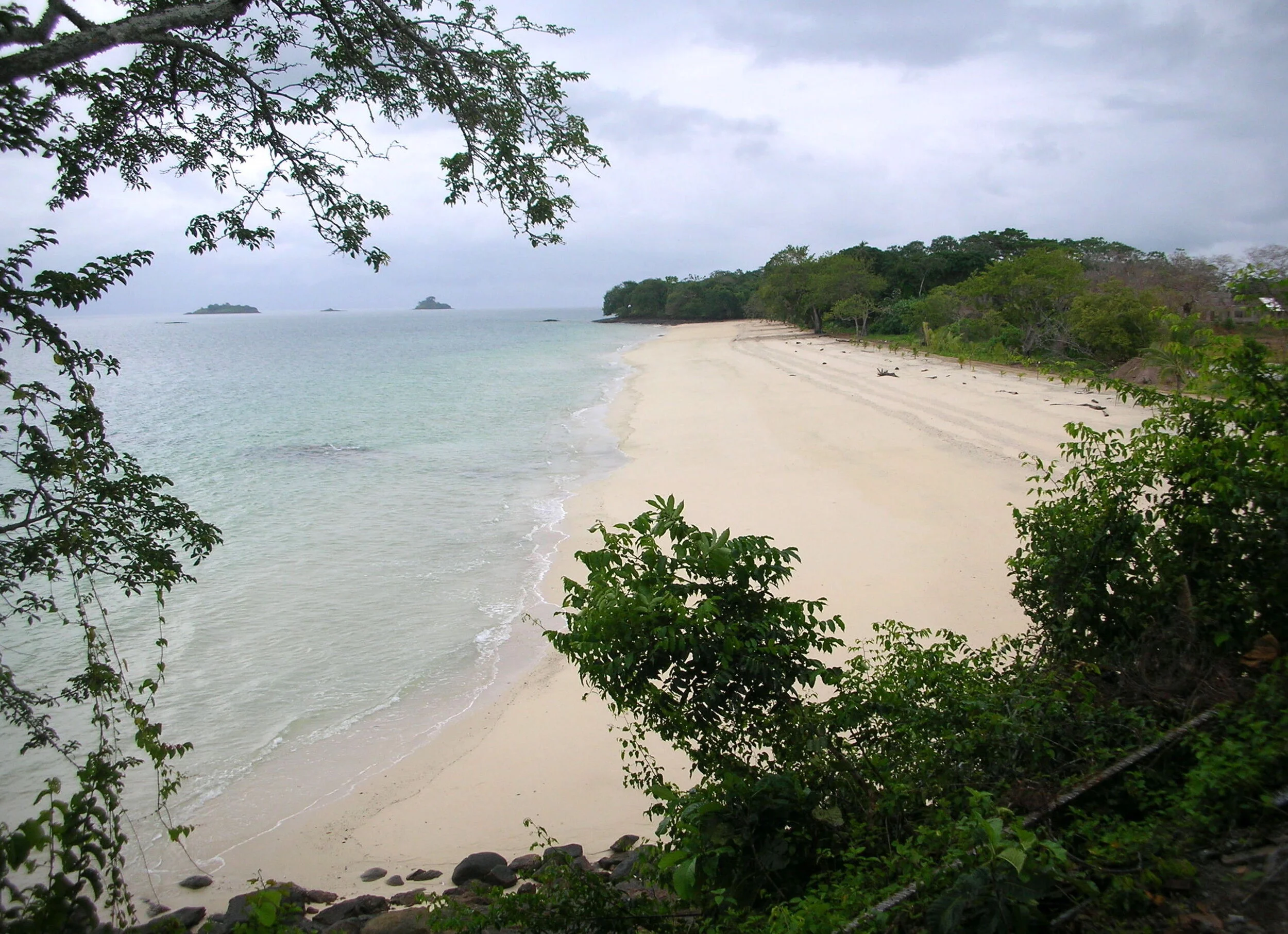 viveros_web_10.JPG