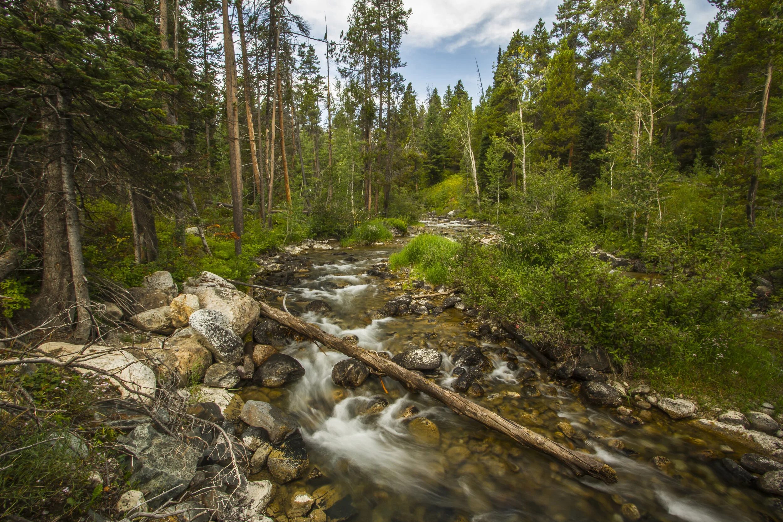 _MG_0024.jpg
