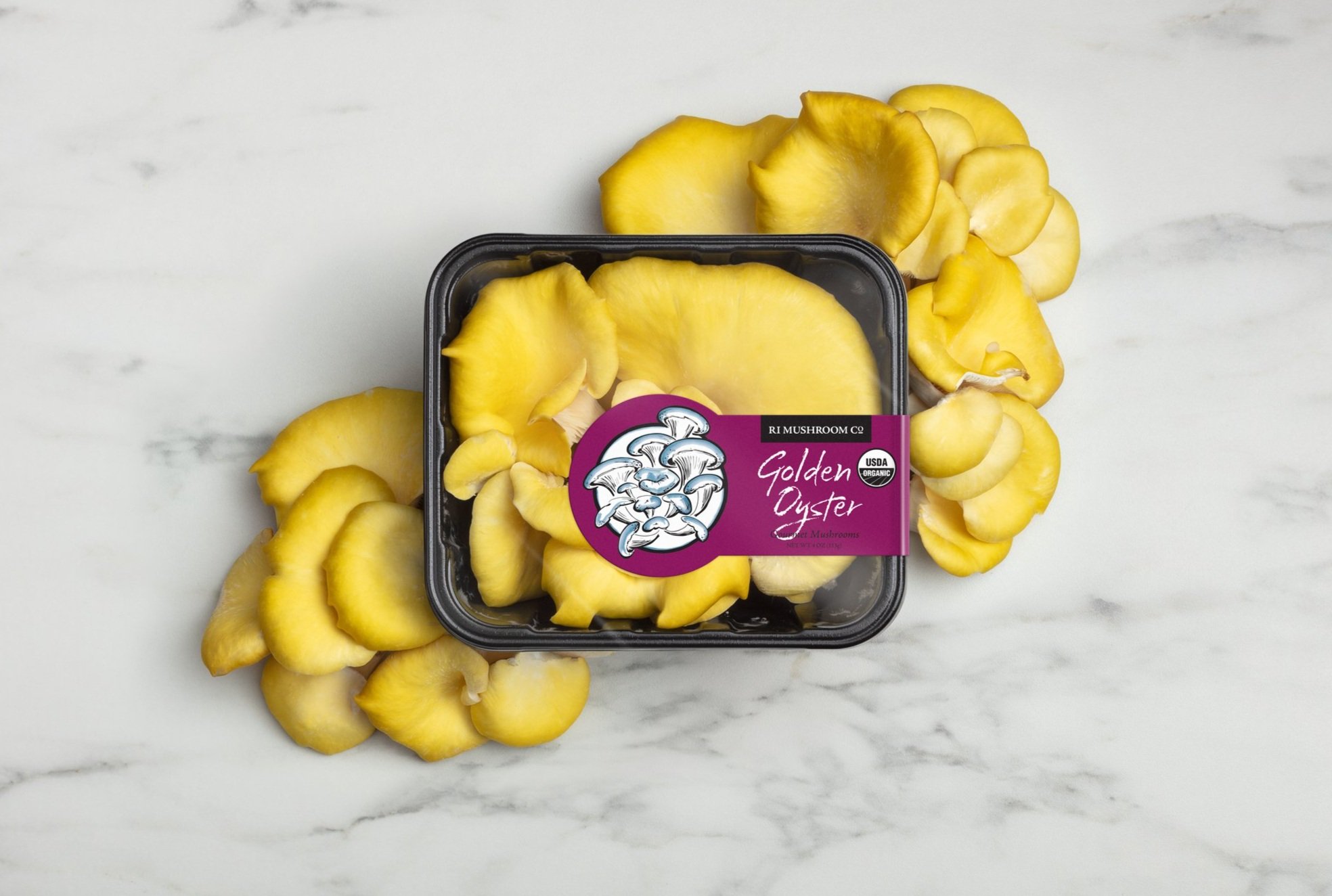 RI-Mushroom_co-layflat-retail_Gold-Oysters-Styled.jpg
