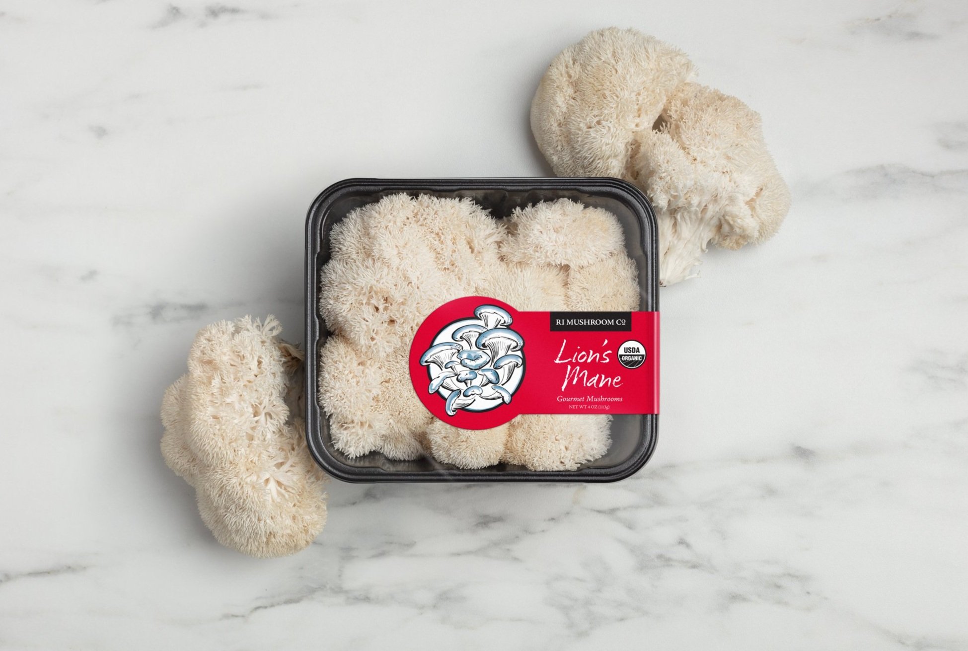 RI-Mushroom_co-layflat-retail_Lions-Mane-Styled.jpg