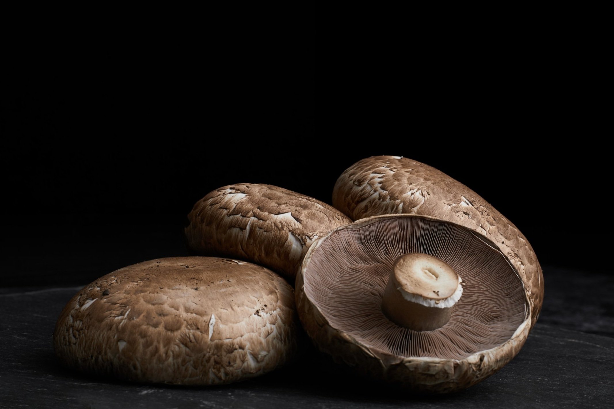 RI-Mushroom_co1448.jpg
