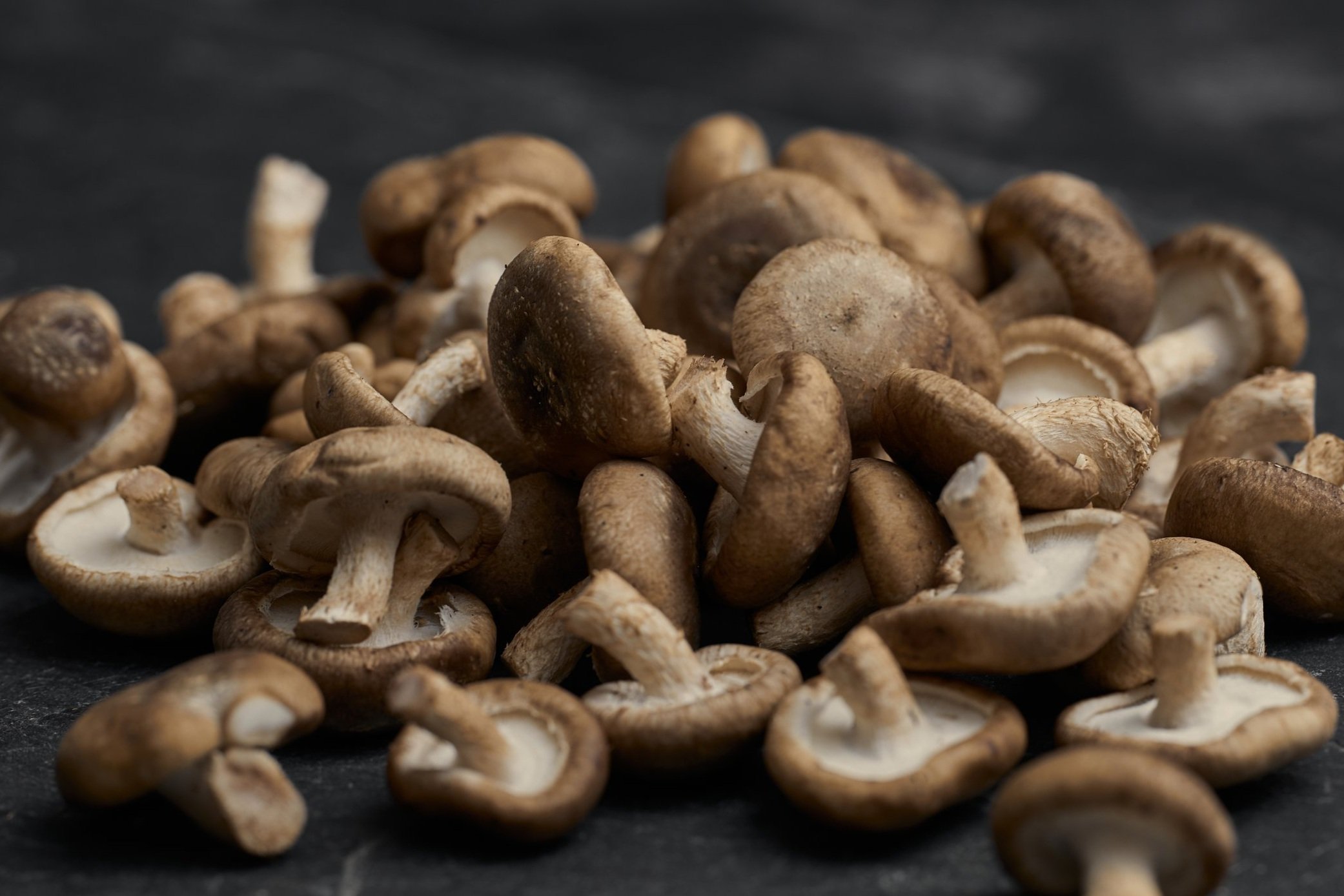 RI-Mushroom_co1730.jpg