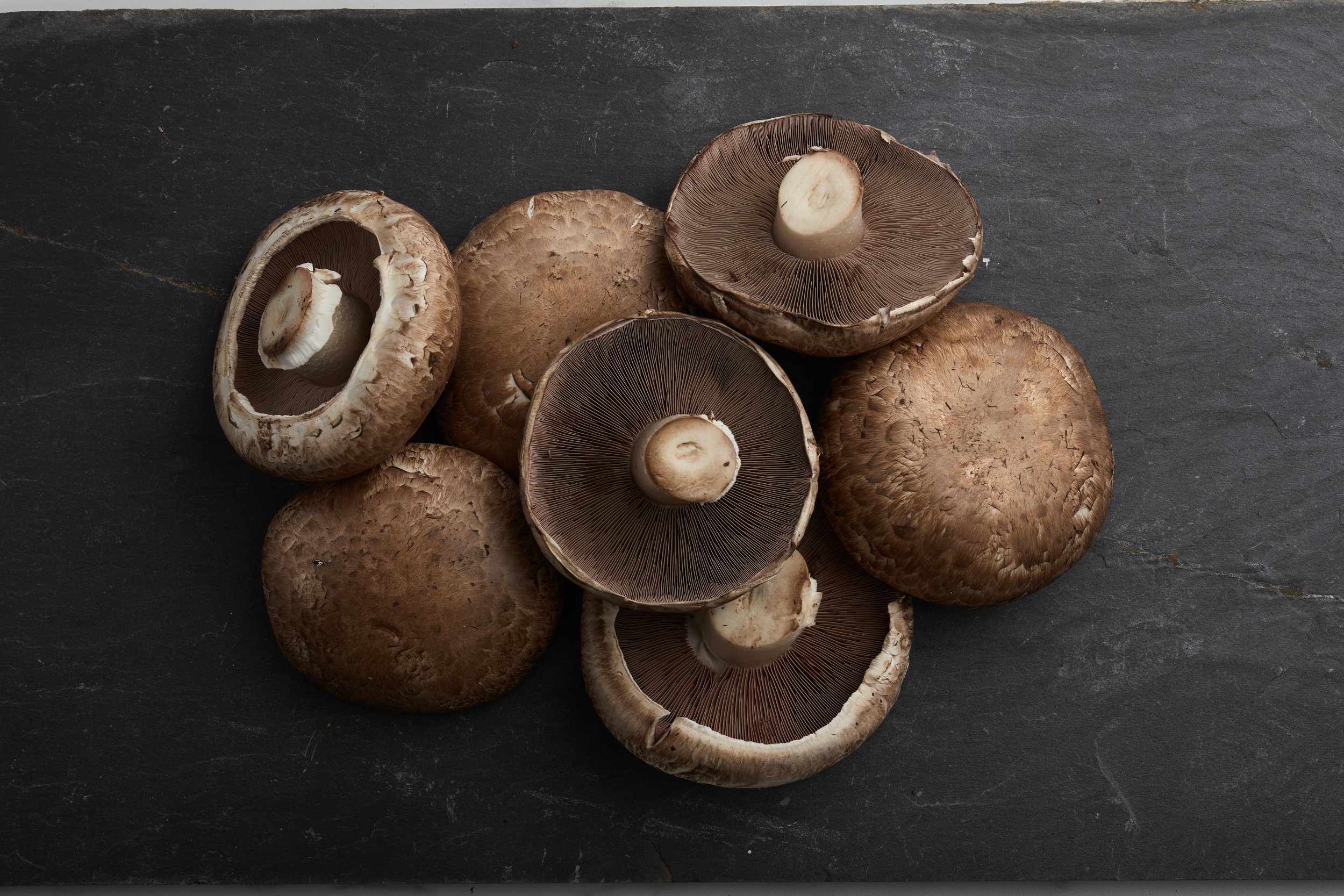 RI-Mushroom_co2556.jpg