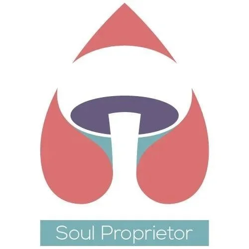 Soul Proprietor Studio