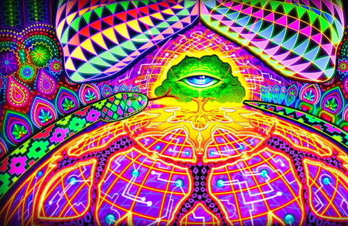 Salvia Droid