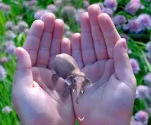 Magic Matters (Especially on a Monday)