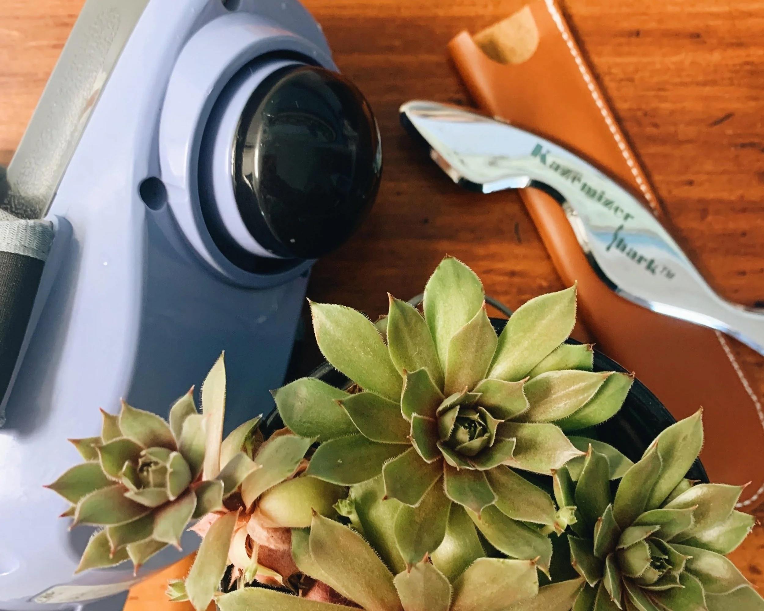A percussive massager and a soft tissue tool are pictured with a plant in the foreground. instrument assisted soft tissue massage, gua sha, graston, Bruce Village Chiropractic.