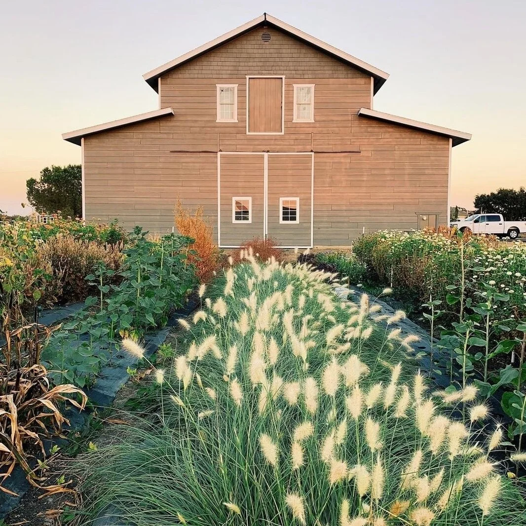 Killdeer Farms logo Yeti — Killdeer Farms