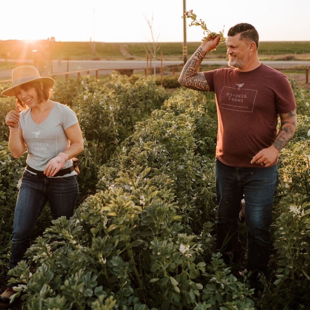 TOMORROW IS THE BIG DAY OF GIVING! Join us in supporting the Center for Land-Based Learning!​​​​​​​​​ Donate through the link in our bio!

Did you know that more than a third of American farmers are over the age of 65 and the number of family farms h