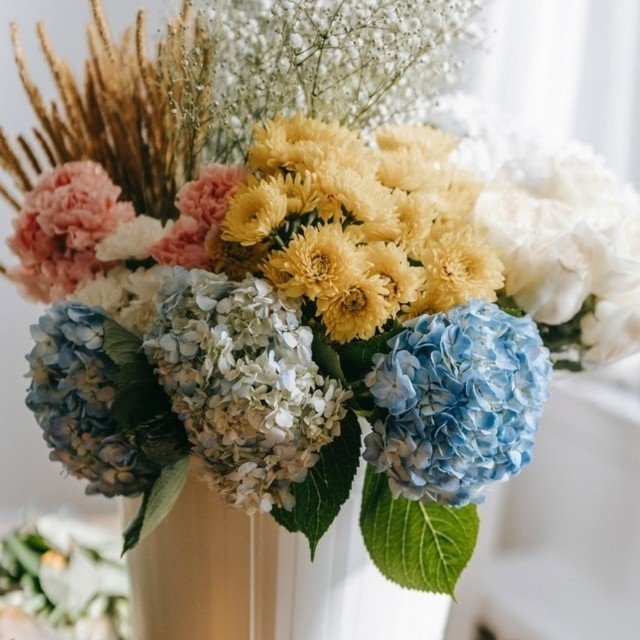 LAST CALL FOR SUMMER FLOWER SUBSCRIPTIONS! The Flower Club kicks off in June!

For residents of West Sacramento only, the Killdeer Farms Flower Club offers five months of ultra-fresh blooms delivered straight to your door. 

Beginning in June and con