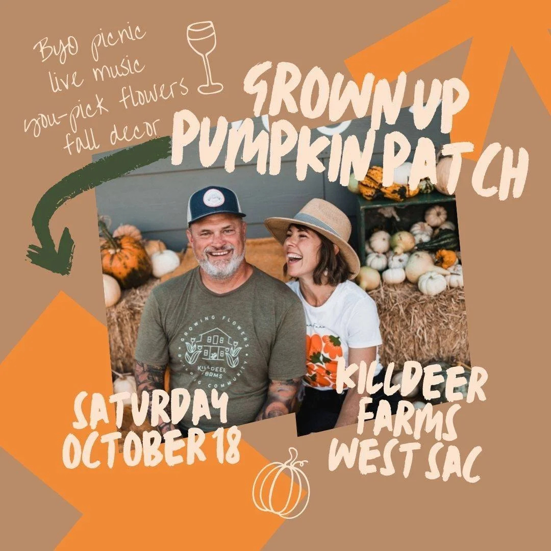 The kids get bounce houses. You get twinkle lights and charcuterie.

The Grown-Up Pumpkin Patch is your chance to pack the perfect picnic (or let our vendors do it for you). Think:

A homespun basket filled with your favorite homemade treats and bevs