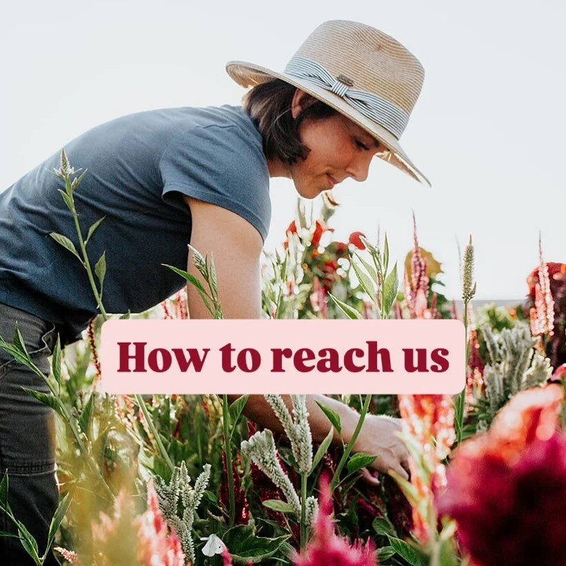 A QUICK NOTE ABOUT MESSAGES

Hey friends! We love connecting with you here, but social media makes me want to stab myself with a pair of pruning shears. To avoid this, I check Instagram and Facebook only on occasion. If you would like to chat, place 