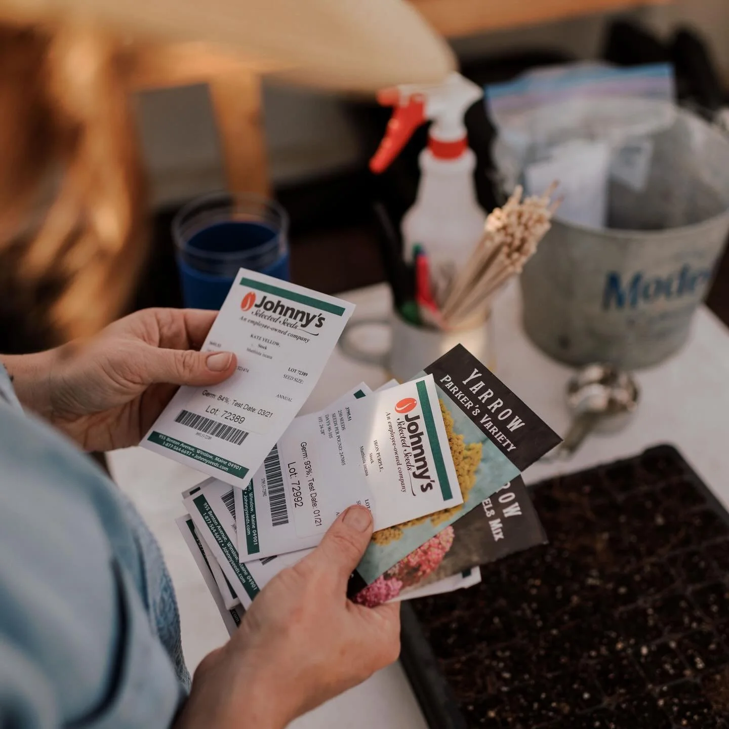 IT&rsquo;S FREEZING AND I DON&rsquo;T WANT TO GO OUTSIDE. Don&rsquo;t let that sun fool you.

There&rsquo;s a bunch of stuff I&rsquo;m supposed to be doing right now, like soil testing and pulling weeds and cleaning out the greenhouse. But I&rsquo;m 