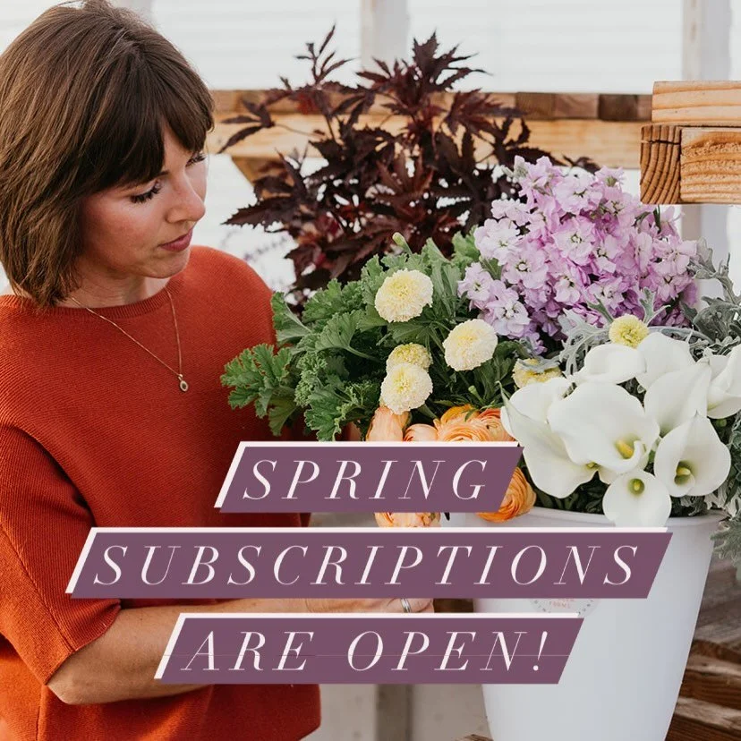 BUCKETS OF BLOOMS DELIVERED TO YOUR DOOR IN WEST SAC. The 2026 Flower Club is open!

Our annual Flower Club subscription program isn&rsquo;t about fancy arrangements&mdash;it&rsquo;s about abundance, joy, and having flowers to play with at home.

Spr