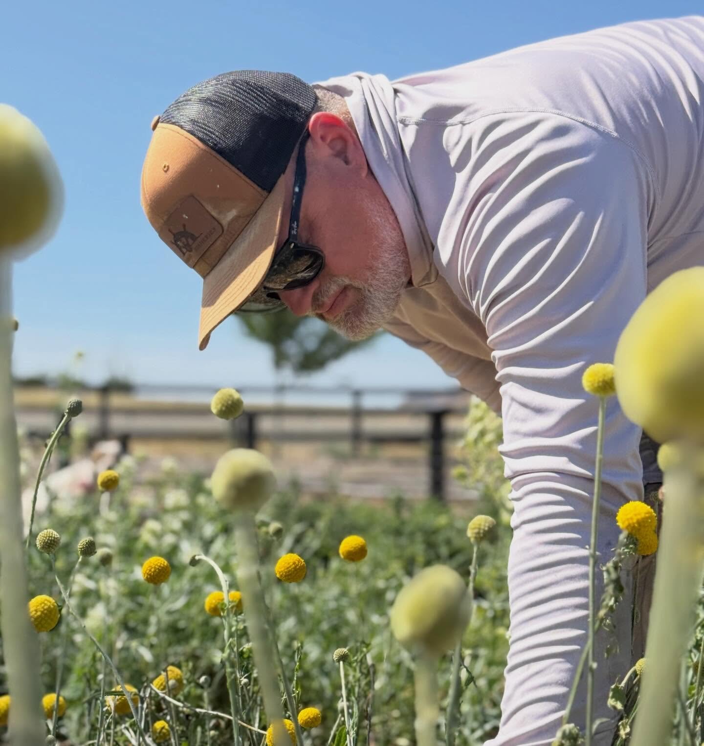 HOW DID WE START FARMING? A little background for the new folks:

Scott and I had lived in a local subdivision for about a decade and started realizing we wanted a different kind of life&mdash;one with deeper relationships and a stronger sense of com