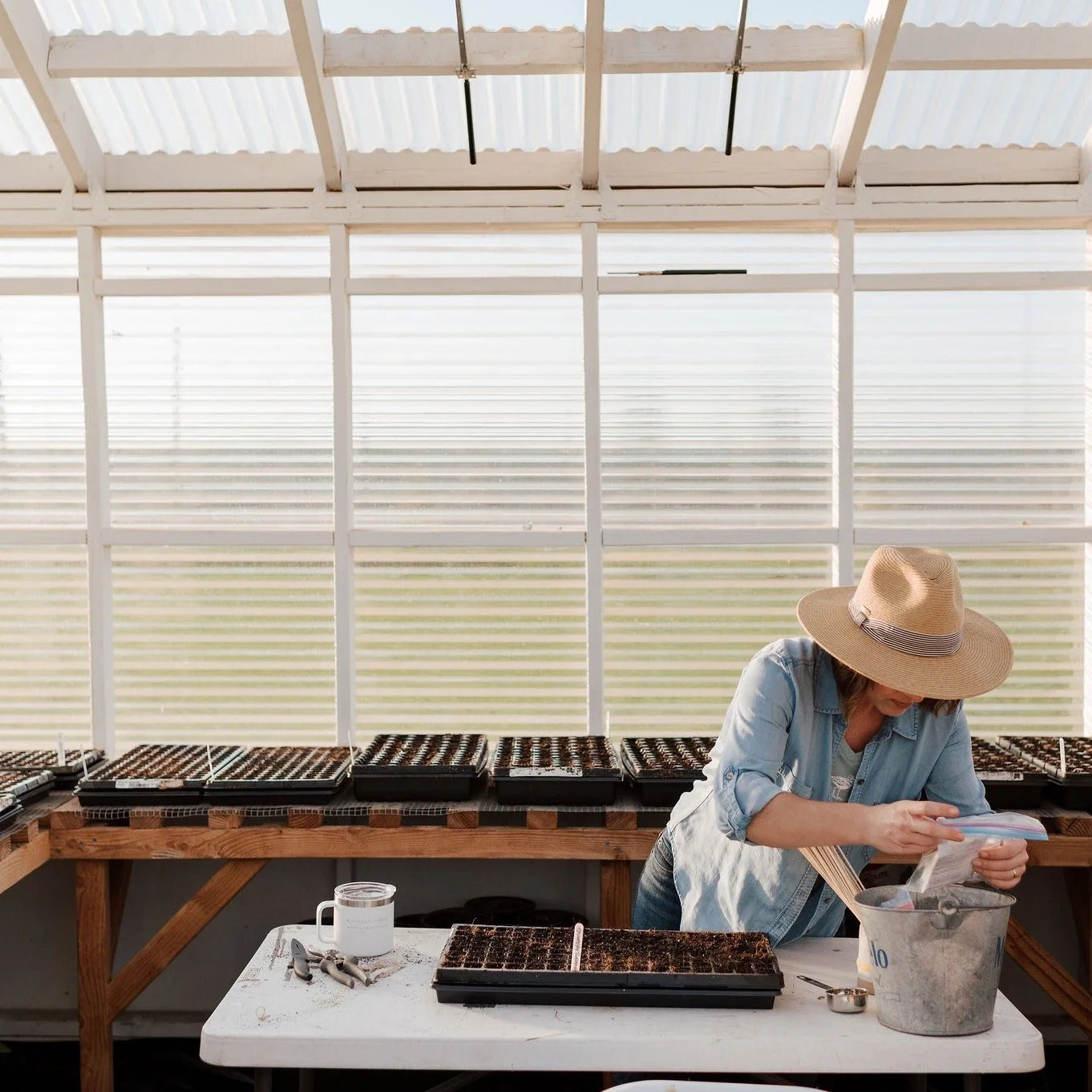 SEED STARTING SUCCESS: I got you. 

Seed starting goes sideways for one main reason: wrong timing + wrong temperature.

Seed packets rarely tell you what you actually need to know: What temp does this seed want to germinate&hellip; and how long will 