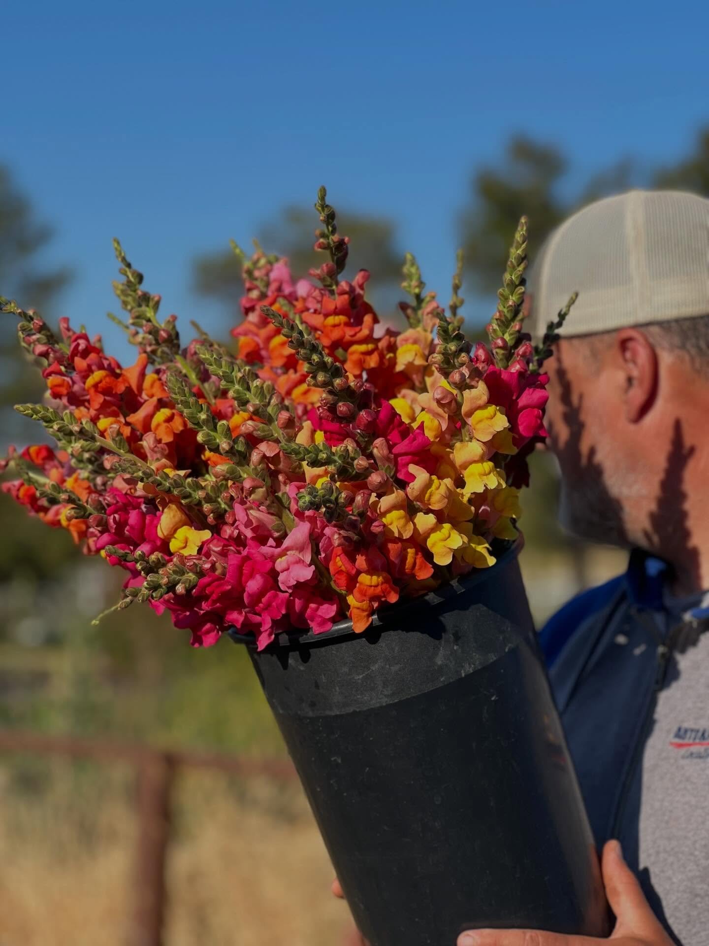 A SPRING OF FLOWERS IS AROUND THE CORNER! Just a few short weeks to go.

Ready to shake off the winter doldrums? We are too! The farm is waking up and we&rsquo;ve got three opportunities for you right out of the gate:

FEBRUARY: Sign up for spring fl