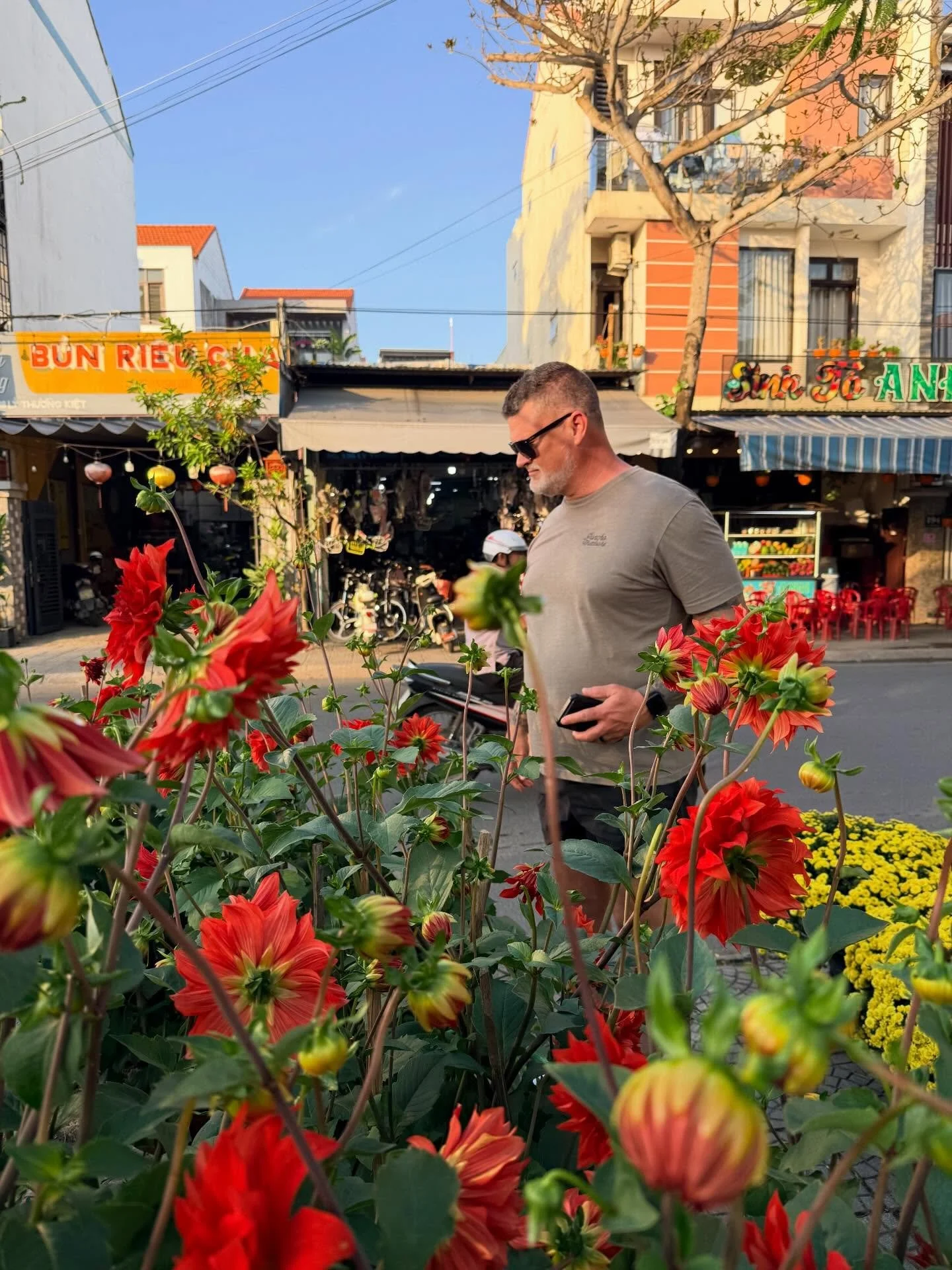 VIETNAM, YOU&rsquo;VE BEEN GREAT! A nation of flowers.

It&rsquo;s been two weeks of warmth and sunshine in Hoi An and Ho Chi Minh, and I&rsquo;m sad to be packing for home. But spring is days away, and it&rsquo;s time to open the farm!

We&rsquo;ll 