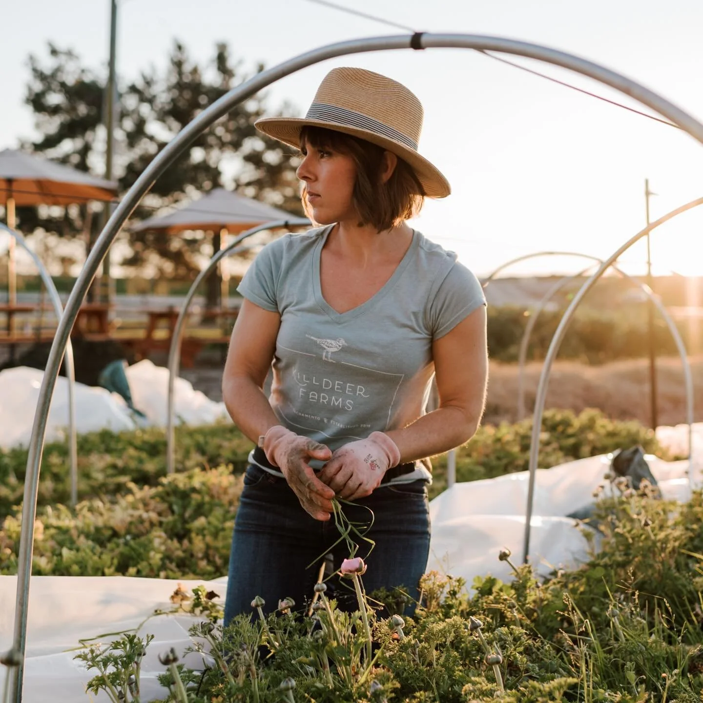 FARM SEASON KICKOFF: ACTIVATED. Woop, woop!

This week on the farm:
	&bull;	First event of the season (baby shower &mdash; it&rsquo;s a boy!)
	&bull;	Building delivery routes for The Flower Club (final spots still open)
	&bull;	Starting our first rou