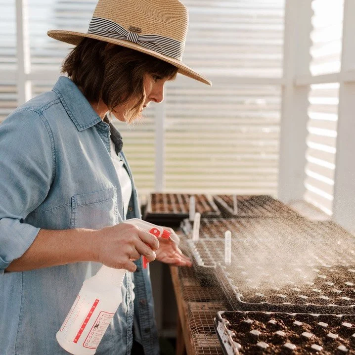SEED STARTING! Tedious and my neck hurts.

Farm season is officially underway and seed trays are happening:

*Indoors: agrostemma, craspedia, strawflower, snapdragons, phlox

*Outdoors: ammi, dill, orlaya, daucus (Jesus take the wheel)

This means I&