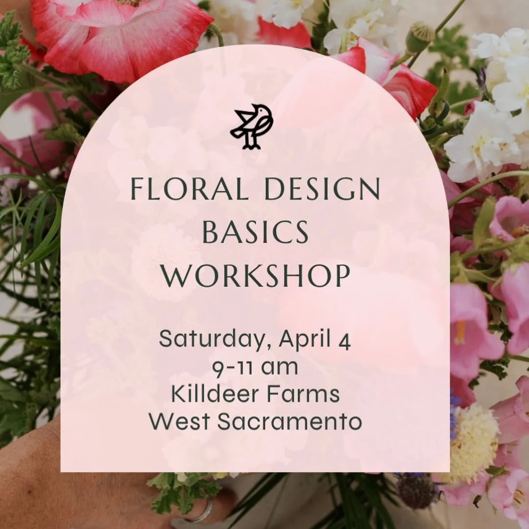 FLORAL DESIGN WORKSHOP! Come play with flowers!

If you&rsquo;ve ever brought home flowers and then immediately thought, &ldquo;Great. Now what?&rdquo; &mdash; this workshop is for you.

On Saturday, April 4, we&rsquo;re hosting Floral Design Basics: